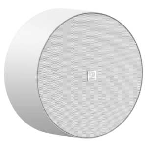 Głośnik naścienny