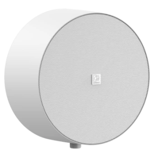 Głośnik naścienny