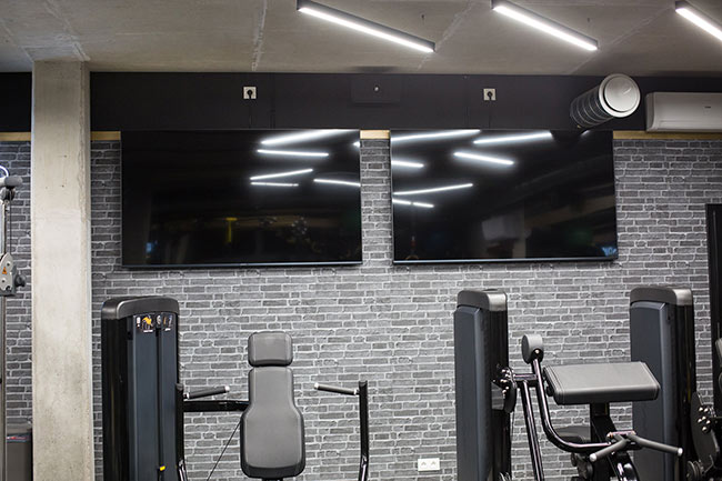 MJ Elite Studio